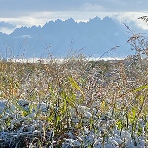 Meet your Posher, Marci